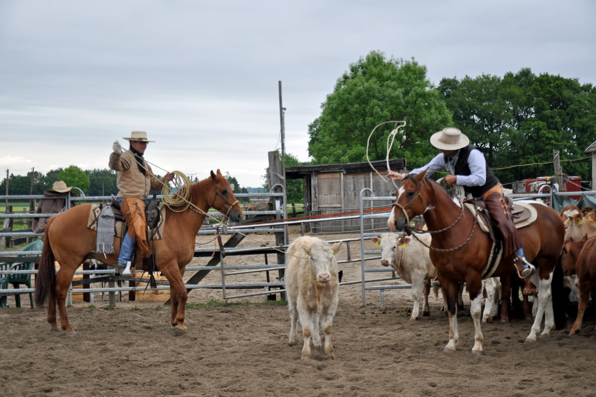 Leseprobe Horseman Juli 2022 - Do it the Cowboy Way